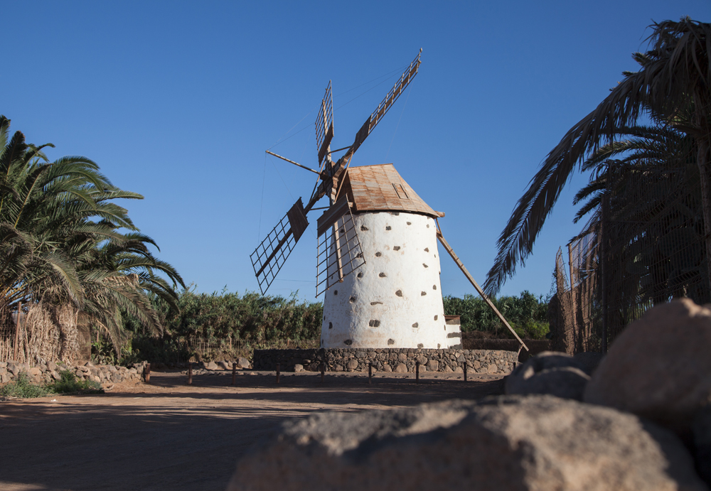 Fuerteventura Canary Islands 